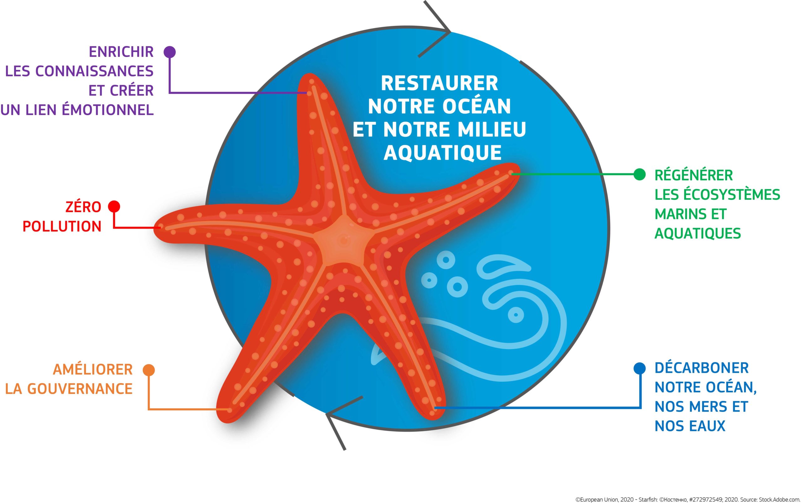 Starfish_diagram_FR