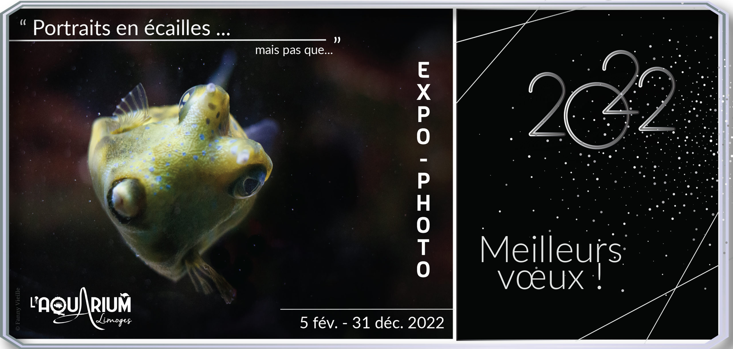 carte de voeux_expo 2022_3